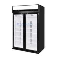 Congélateur vertical à double porte vitrée, refroidissement par air, sans givre, éclairage LED, 1000L, pour café