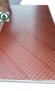Venta directa de fábrica, película de arce canadiense ecológica, cara de chapa de abedul de madera contrachapada amarilla para uso en la sala de estar, precio barato - Product Image 5