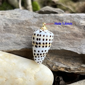 Coquillages naturels en vrac Conus Ebraeus (coquilles de punaises hébraïques) – Pendentifs en coquillages véritables pour la fabrication de bijoux hawaïens DIY - Product Image 4