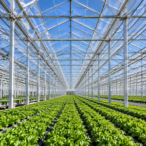 Serre agricole multi-travées en film PE ventilé avec aérations latérales à haut débit d'air pour un refroidissement efficace en saison chaude Skyplant - Product Image 5