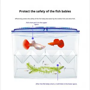 Caja de cría de peces de plástico transparente de <span class=keywords><strong>doble</strong></span> capa, fácil instalación, criadero de acuario cuadrado, alevín Betta Guppy ecológico - Product Image 5