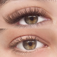 Extensions de cils en soie volume 3D 4D 5D 6D YY, plateaux individuels, noir mat foncé, brun, en cachemire, vente en gros
