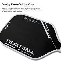 Raquette de Pickleball en Gros Transfrontalier T700 Fibre de Carbone Motif Tissé UV Contrôle-Offensive Sans Trous Forme Rectangulaire