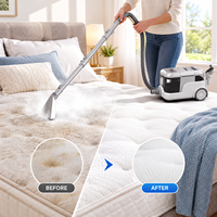 2100W 100 ℃   Nettoyage et stérilisation à la vapeur avec vapeur rapide en 40 secondes pour tapis, canapé, matelas, machine de nettoyage pour éliminer les taches