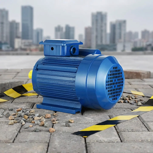 Moteur asynchrone monophasé 220V AC à protection entièrement fermée, fréquence 50/60Hz, 3000 tr/min, puissance nominale 3-5KW - Product Image 3