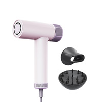 Sèche-cheveux domestique à double entrée transfrontalière Ion négatif sans brosse Mini ventilateur en plastique à grande vitesse Source d'alimentation électrique
