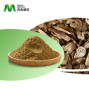 Экстракт корня костуса в порошке Radix Aucklandiae P.E. - Product Image 1