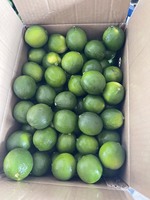 Vietnam Verse Lime Pitloze/Groen Circus Fruit/Verse Groene Citroen Pitloze + 84986778999 David