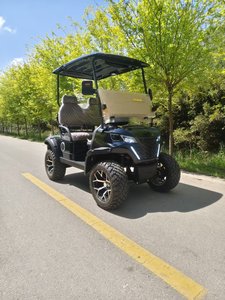 Chino personalizable Puntos escénicos hoteles turísticos ferries caravanas carrito de golf de buggy eléctrico con techo de panel solar - Product Image 6