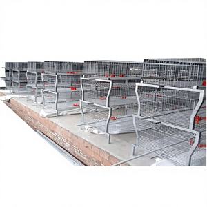 กรงเลี้ยงไก่เนื้อพร้อมระบบเก็บมูลอัตโนมัติ ลวดชุบสังกะสีหนา อุปกรณ์เลี้ยงไก่แบบปรับแต่งได้ - Product Image 1