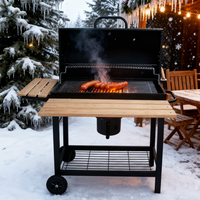 Barbecue à gaz Kamado, Grill de jardin et de piscine, Barbecue extérieur au charbon et au gaz, Machine à barbecue
