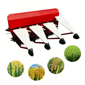Cosechadora de Patatas Rojas con Motor de Transmisión por Engranajes, Maquinaria Agrícola de Alta Productividad - Product Image 3