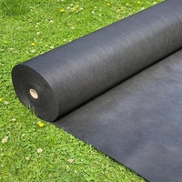Tissu microfibre non tissé respirant et écologique en PP/PE, résistant aux UV à 5 %, durable 2-10 ans, pour l'agriculture et le jardinage, 60-200 g/m²