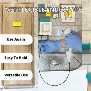 Equipo Médico de Ureteroscopia Flexible Reutilizable Y2810, Fuente de Luz de Fibra Óptica, Endoscopio de Pieloscopia para Veterinaria, Gran Venta - Product Image 2