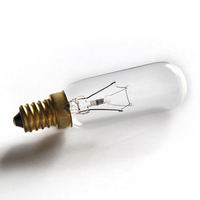 Ampoules micro-ondes E14 E17 B15 40 watts, ampoules tubulaires T8 à haute résistance à la température, ampoules incandescentes T25, mini ampoule pour réfrigérateur, pour four