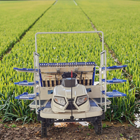 Transplanteur de riz à essence à 4/6/8 rangs pour la vente, prix du transplanteur de riz pour les rizières