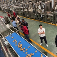 CE-gecertificeerde volautomatische productielijn voor frites, fabrieks prijs, complete industriële lijn voor het maken van diepvriesfrites