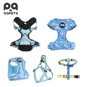 QQPETS özelleştirilebilir çeşitli stil köpek tasma ve zincir seti, kişiselleştirilmiş Logo ile ayarlanabilir naylon Pet ürünleri - Product Image 1