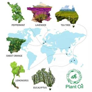 Vente en gros Bulk Savon soin des cheveux à l'huile essentielle de <span class=keywords><strong>laurier</strong></span> avec saveur naturelle Huile de baies d'olive Marque privée Meilleur <span class=keywords><strong>prix</strong></span> - Product Image 6