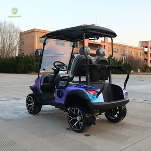Hot Selling Customized Seat Mini Electric Golf Carts New 48V Battery 2 <strong>Sets</strong> for Club <strong>Buggy</strong> - Product Image 1