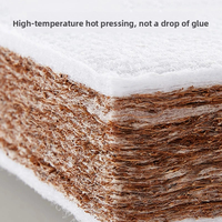 Matelas pour berceau avec fibre de coco naturelle et latex, respirant et supportant la colonne vertébrale, spécialisé pour les nouveau-nés