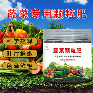 Engrais granulaire végétal 200g à libération lente pour plantes de jardin domestique - Product Image 2