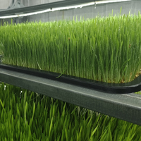 Machine de culture hydroponique automatique en conteneur fermé avec pompe pour la germination de l'orge et la production d'aliments verts pour animaux