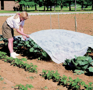 Innovación Agrícola: Rollo de Tela No Tejida de PP Ecológica con Patrón de Pelo Cortado, Tejido Brocado de Alta Densidad de <span class=keywords><strong>110</strong></span> GSM - Product Image 5