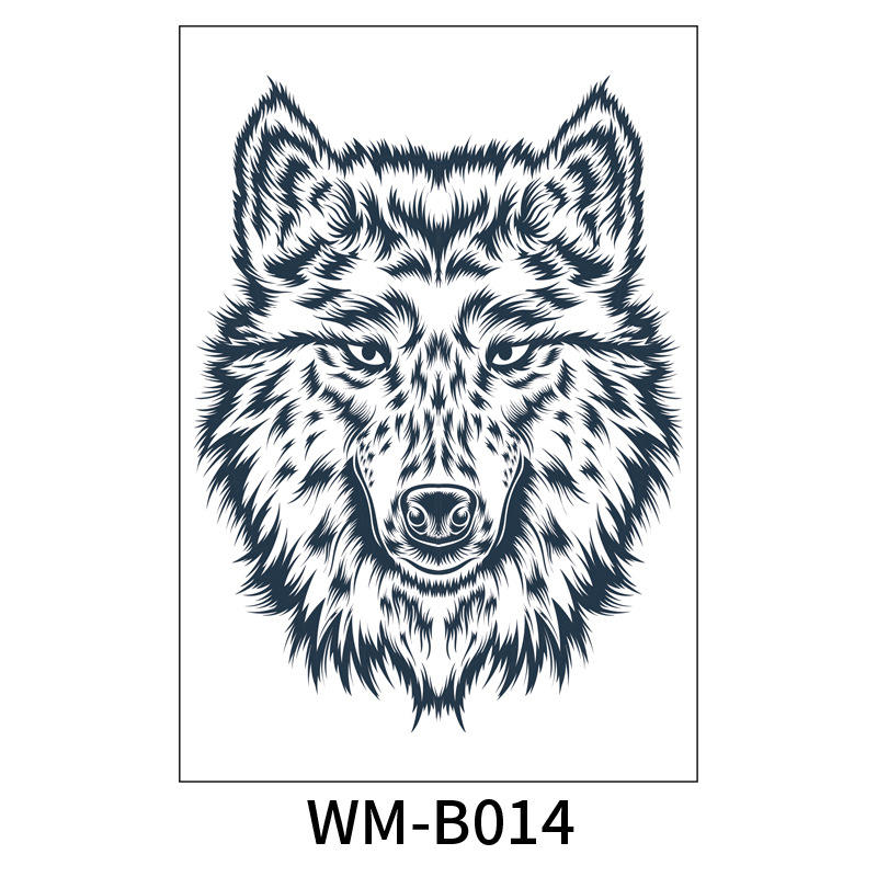 WM-B014