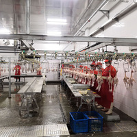 Solutions de traitement automatique de volaille Maisheng Machine d'abattoir de poulet avec pompe et composants du noyau du moteur
