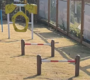 Tempat bermain luar ruangan profesional untuk anak anjing Area Gym anjing baja dengan taman anjing - Product Image 5