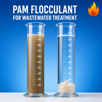 Fabricant de polyacrylamide anionique, produits chimiques pour le traitement de l'eau, directement de l'usine