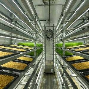 Skyplant contenedor hidropónico granja máquina hierba verde forraje planta fábrica riego y equipo hidropónico - Product Image 5