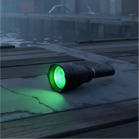 Répulsif laser portable étanche pour oiseaux, à large portée, pour une coopération à long terme avec les fabricants