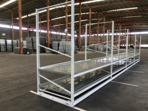 2023 תאילנד גידול גדול מקורה של הגינון פנימי - Product Image 4