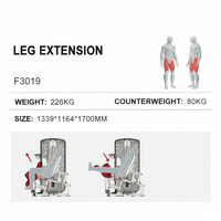 WENDY Équipement de musculation Appareil de force à charges guidées pour exercices assis de flexion/extension des jambes