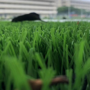 <span class=keywords><strong>2021</strong></span> NWTฟุตบอลหญ้าพรมใช้สำหรับกลางแจ้งในร่มกีฬาField Ground - Product Image 4