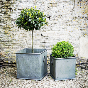 Maceta de hierro para la venta Diseño elegante Macetas de forma redonda Maceta Best Seller Maceta decorativa para jardín Último diseño - Product Image 6