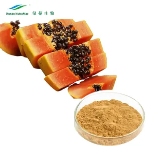 Bester Preis 100 % bio-Carica-Papaya-Samen-Extraktpulver
