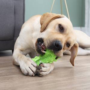 2021 moda 12 paketleri dayanıklı yıkanabilir köpek <span class=keywords><strong>Chew</strong></span> interaktif pamuk ipi oyuncak seti - Product Image 6