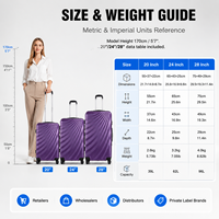 Ensemble de bagages à roulettes ABS OEM ODM violet 3 pièces, valises rigides 20, 24, 28 pouces, fournisseur en gros pour les chaînes de magasins de détail