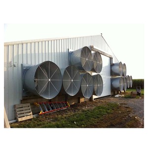 Prix usine poulet <span class=keywords><strong>maison</strong></span> plans de construction structure en acier claire portée poulaillers à vendre - Product Image 6