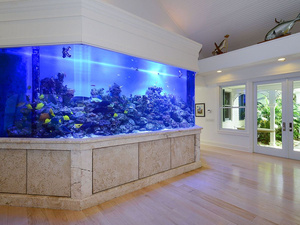 <span class=keywords><strong>Aquarium</strong></span> <span class=keywords><strong>Table</strong></span> <span class=keywords><strong>Basse</strong></span> <span class=keywords><strong>Aquarium</strong></span> <span class=keywords><strong>Table</strong></span> <span class=keywords><strong>Aquarium</strong></span> <span class=keywords><strong>Table</strong></span> pour Salon - Product Image 6