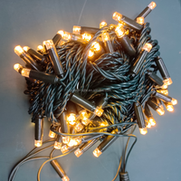 La ficelle de PVC LED d'IP65 allume 110V-230V pour de grands articles d'affichage