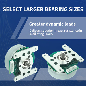 Motor CC Sin Escobillas RB 61BLDC, Módulos de Controlador de Motor para Agitador para Dispositivo de Laboratorio, 24 V, 1600 RPM, 27.8 W, Motor con Certificación CE - Product Image 2