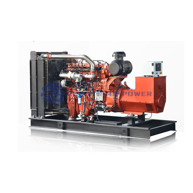 Electric Whole House Silent Standby Propane Power Chp Generator Canada 60hz for House Natural Gas 1800Rpm