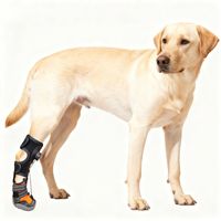 Attelle pour pattes arrière de chien avec botte, sans flexion, support pour pied tombant, doublure en néoprène, semelle extérieure en caoutchouc, maille respirante, fabrication usine