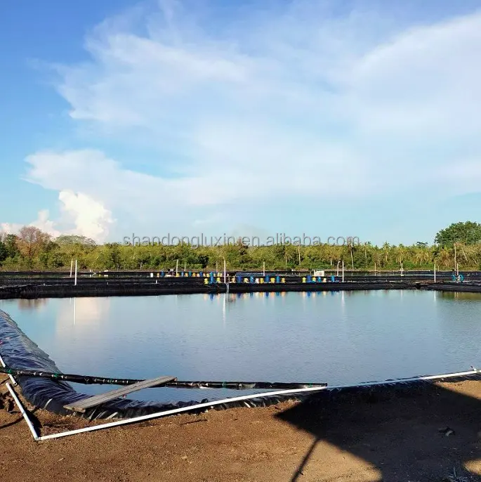 Pabrik langsung komersial ramah lingkungan tahan air mata halus geometrik untuk kolam ikan situs cumi kolam liner