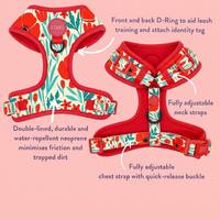 Collier et laisse pour chien imprimés colorés, harnais gilet ajustable personnalisé, articles populaires de boutique pour animaux de compagnie, sur mesure