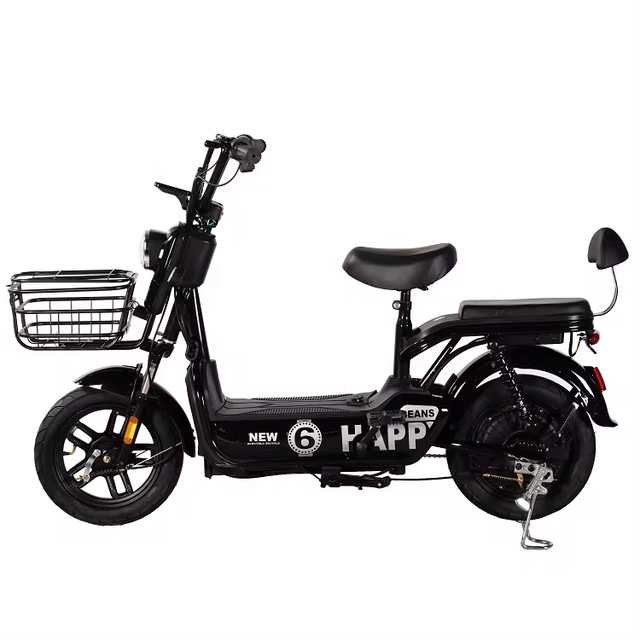Best Sell Wholesale Cheap Electric Bike for Adults 2 Seat Rear Hub Motor X2 Steel Frame Lead-Acid Battery City Road Bike